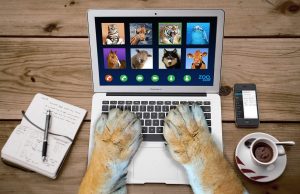 ホームページの修正を自社で対応しない方が良い３つの理由