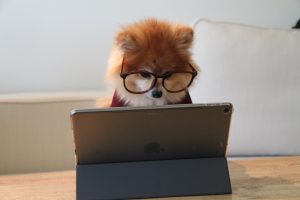 ホームページ運営者なら知っていて当然？！サーバーとドメインの基礎知識