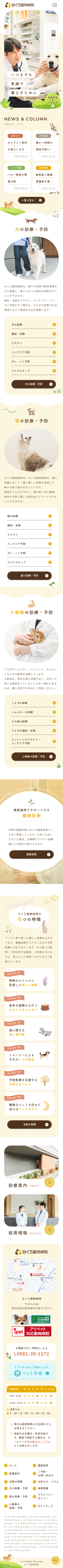SMART PHONE