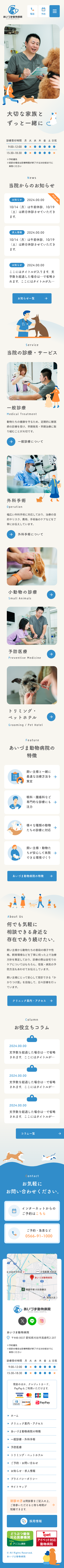 SMART PHONE